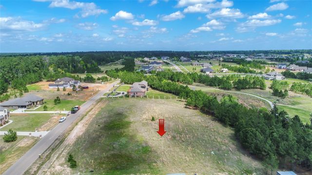 18513 Michaels Run, Montgomery, TX 77316