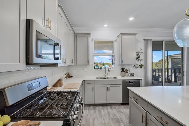 1123 DORA PARC LANE, Mount Dora, FL 32757