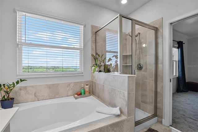 1123 DORA PARC LANE, Mount Dora, FL 32757