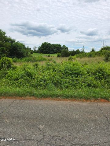 18 Baker Springs Road, White Pine, TN 37890
