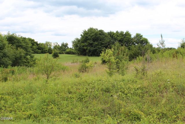 18 Baker Springs Road, White Pine, TN 37890