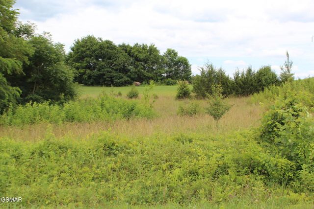 18 Baker Springs Road, White Pine, TN 37890