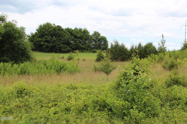 18 Baker Springs Road, White Pine, TN 37890