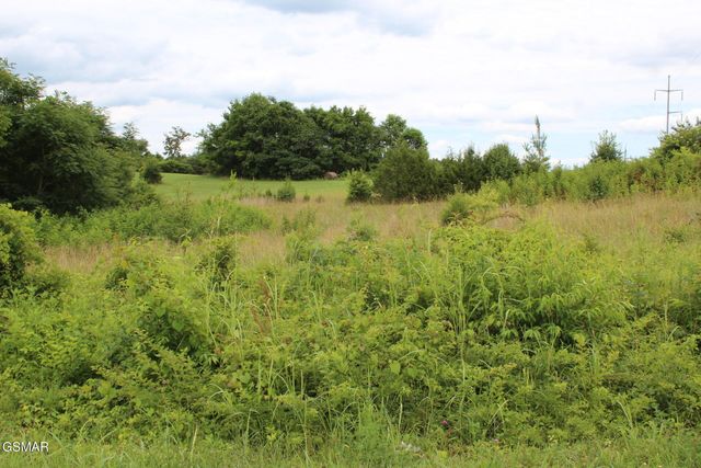 18 Baker Springs Road, White Pine, TN 37890