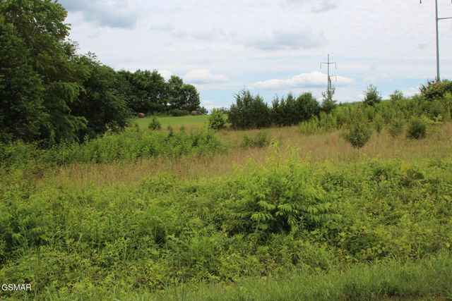 18 Baker Springs Road, White Pine, TN 37890