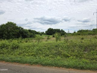 18 Baker Springs Road, White Pine, TN 37890