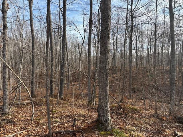 Lot 3 Preserve Road, Hayward, WI 54843