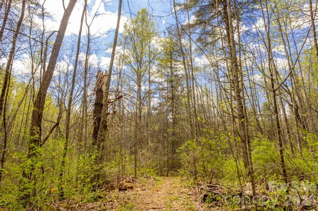 82 Meadow Ridge Court, Tuckasegee, NC 28783