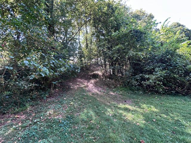 311 E Jackson Street, Ozark, MO 65721