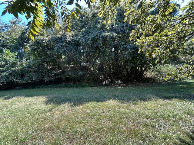 311 E Jackson Street, Ozark, MO 65721