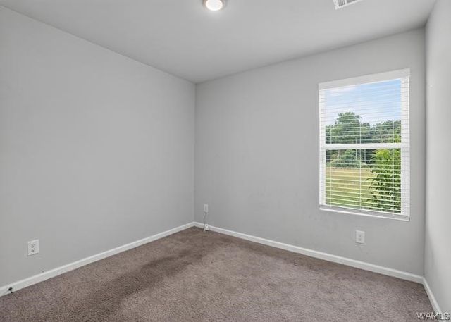 12376 Choctaw, Moundville, AL 35474
