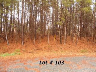 #103 Deer Run, Eden, NC 27288