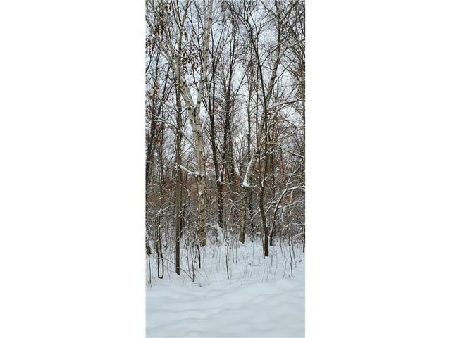 TBD 50th Street, Somerset, WI 54025