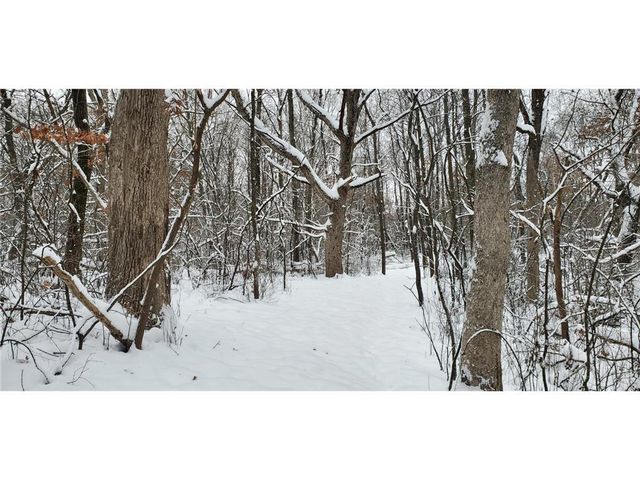 TBD 50th Street, Somerset, WI 54025