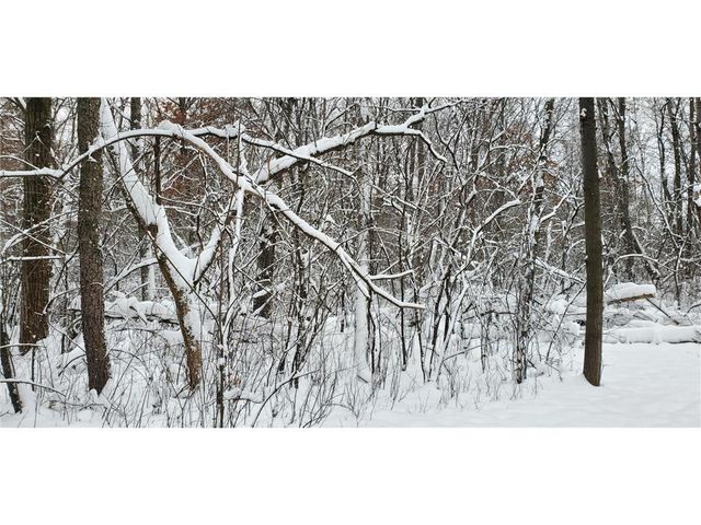 TBD 50th Street, Somerset, WI 54025