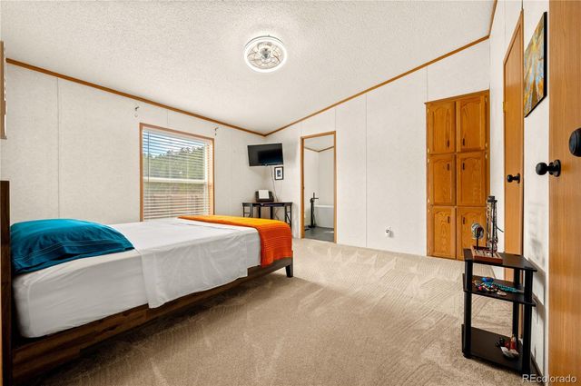 45 Knight Lane, Cotopaxi, CO 81223
