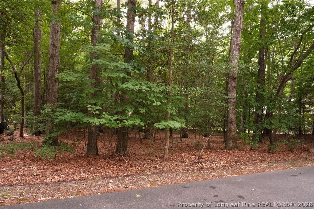 1146 Deerfoot Trail, Sanford, NC 27332 — photo 2