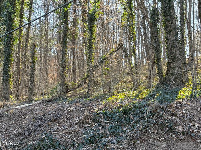 Lots 1-4 Bishop Hollow Road, Elizabethton, TN 37643