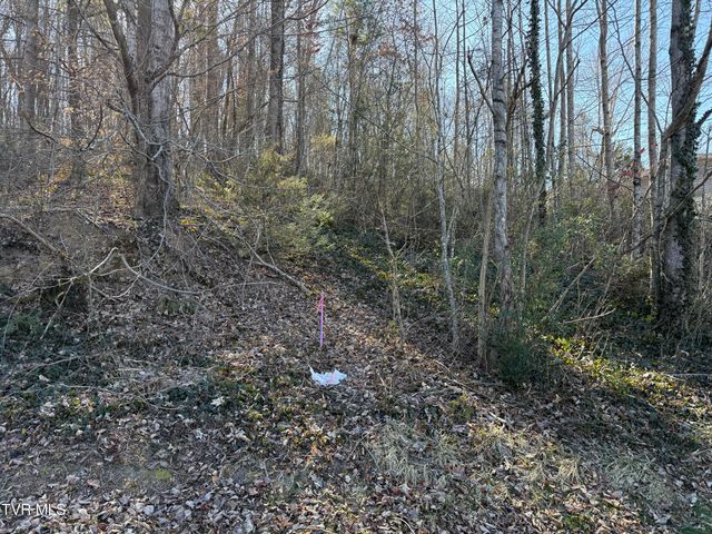 Lots 1-4 Bishop Hollow Road, Elizabethton, TN 37643