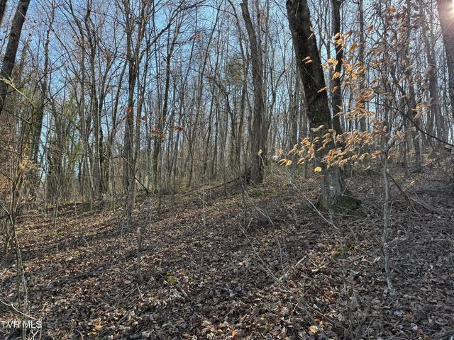 Lots 1-4 Bishop Hollow Road, Elizabethton, TN 37643