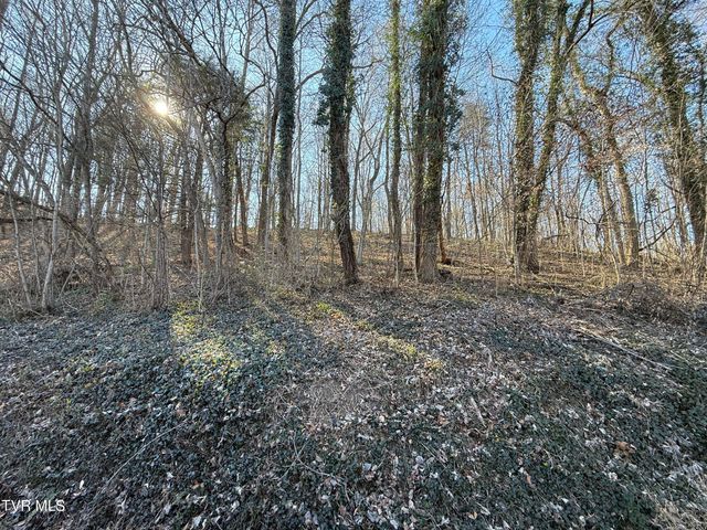 Lots 1-4 Bishop Hollow Road, Elizabethton, TN 37643