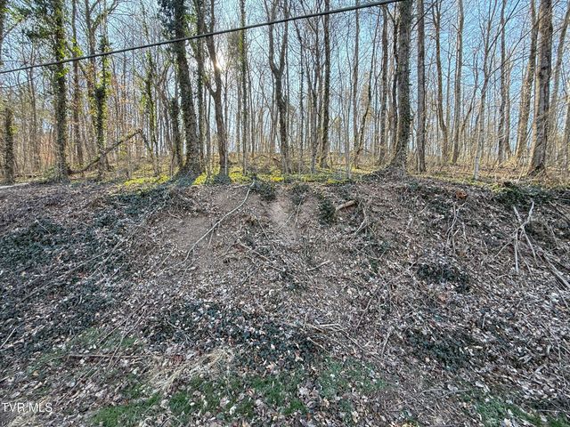 Lots 1-4 Bishop Hollow Road, Elizabethton, TN 37643