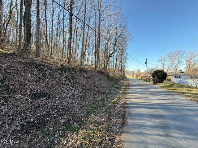 Lots 1-4 Bishop Hollow Road, Elizabethton, TN 37643