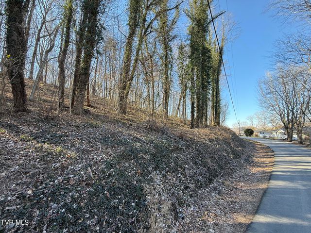 Lots 1-4 Bishop Hollow Road, Elizabethton, TN 37643