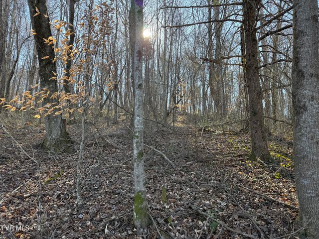 Lots 1-4 Bishop Hollow Road, Elizabethton, TN 37643