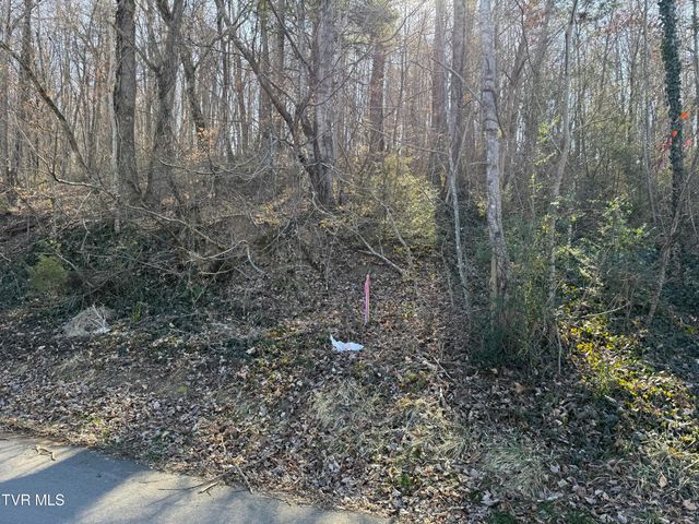 Lots 1-4 Bishop Hollow Road, Elizabethton, TN 37643