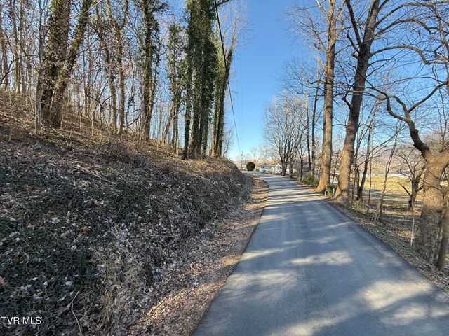 Lots 1-4 Bishop Hollow Road, Elizabethton, TN 37643