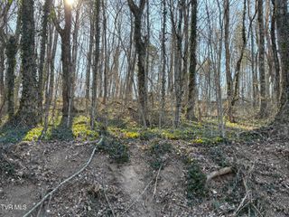 Lots 1-4 Bishop Hollow Road, Elizabethton, TN 37643