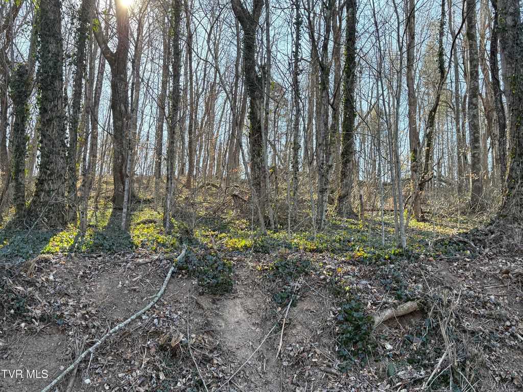 Lots 1-4 Bishop Hollow Road, Elizabethton, TN 37643