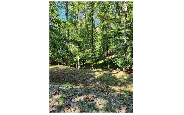 397 5th Street, Ellijay, GA 30540