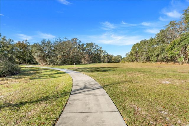3892 FESCUE STREET, Clermont, FL 34714
