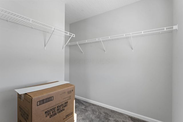 517 Pagoda Loop, Delaware, OH 43015