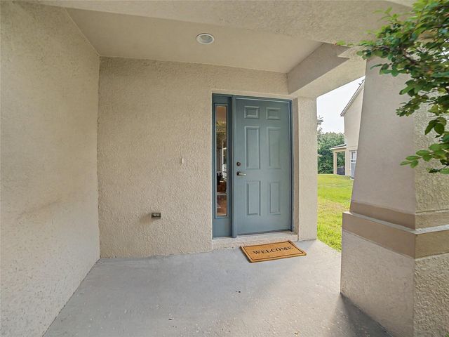 11620 HAMMOCKS GLADE DRIVE, Riverview, FL 33569