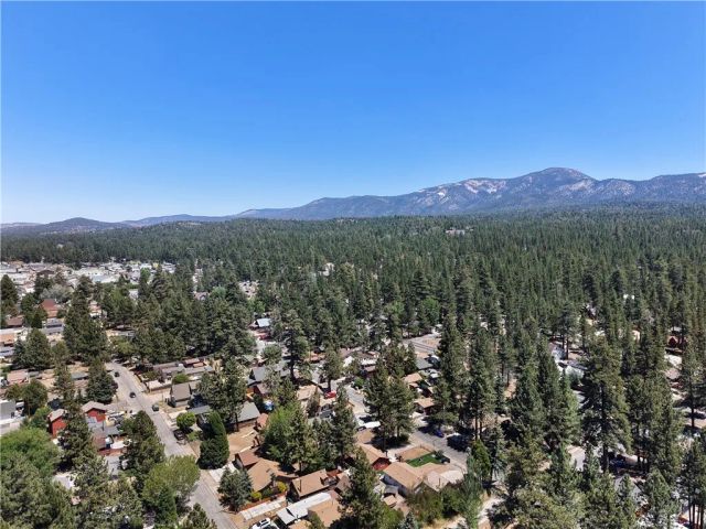 927 W Aeroplane, Big Bear City, CA 92314