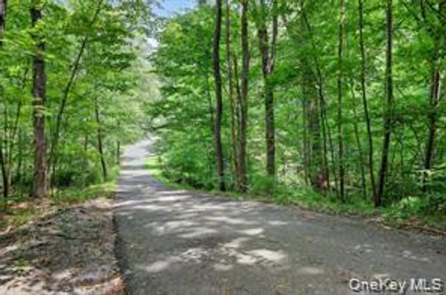 72 Peddler Hill Road, Monroe, NY 10950
