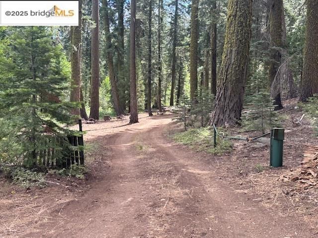 Cabin3 Mill Creek Campground, Pinecrest, CA 95364