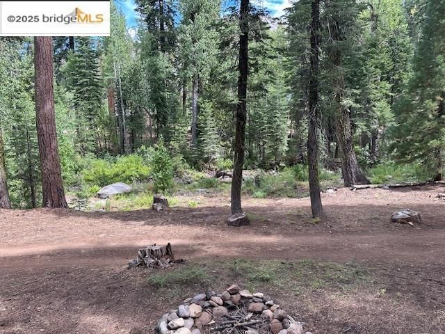 Cabin3 Mill Creek Campground, Pinecrest, CA 95364