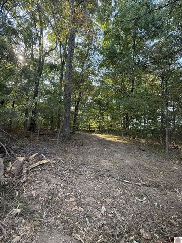 1473 Watson Rd, Murray, KY 42071