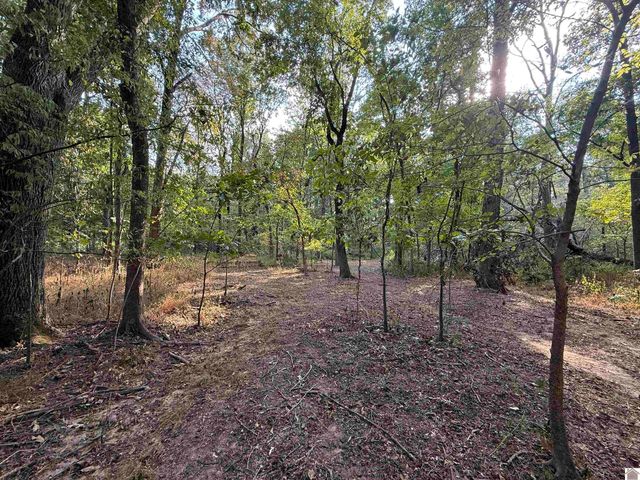 1473 Watson Rd, Murray, KY 42071