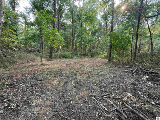 1473 Watson Rd, Murray, KY 42071