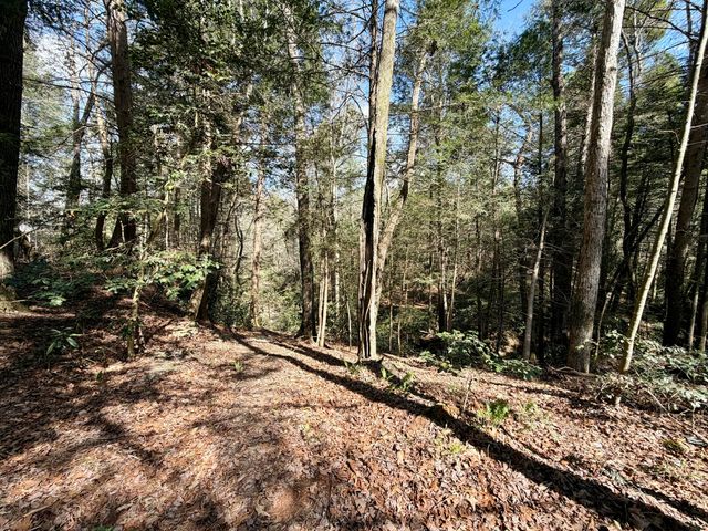 112 Speed Drive, Corbin, KY 40701