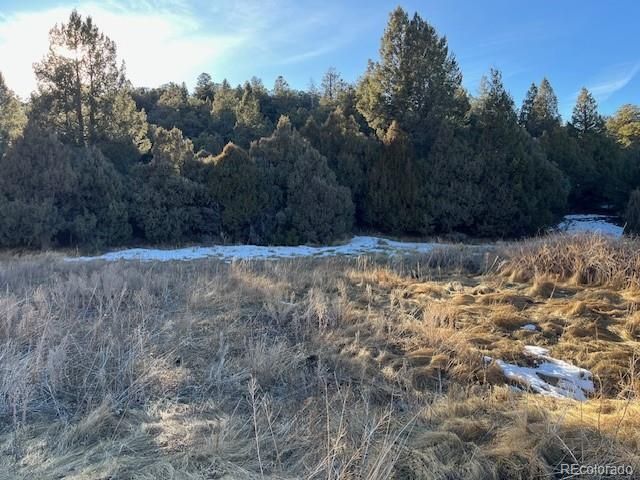 Lot 6016 Forbes Road, San Luis, CO 81152