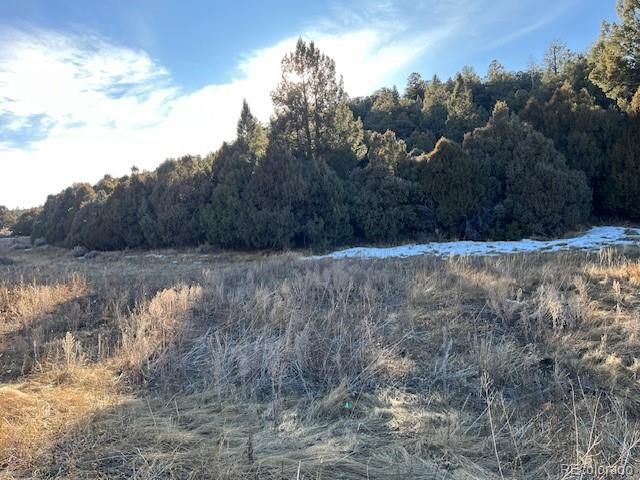Lot 6016 Forbes Road, San Luis, CO 81152