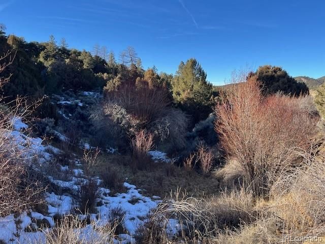 Lot 6016 Forbes Road, San Luis, CO 81152