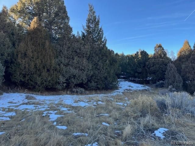 Lot 6016 Forbes Road, San Luis, CO 81152