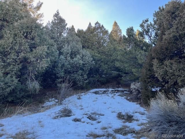 Lot 6016 Forbes Road, San Luis, CO 81152